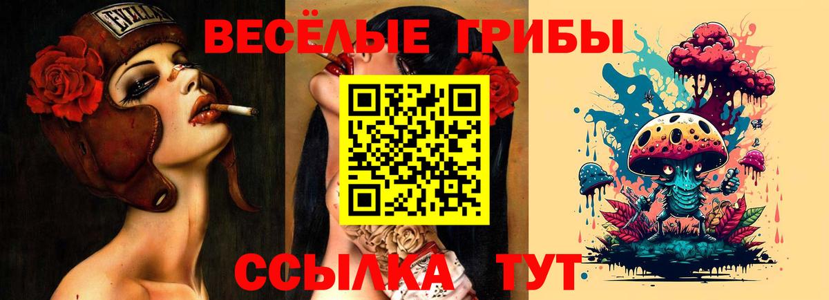 наркошоп  Псилоцибиновые грибы Cubensis  Вход с VPN  Алексеевка 